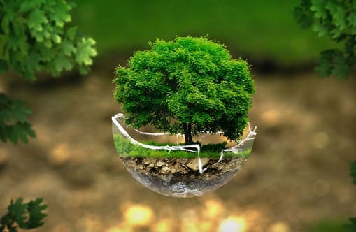 renewable and clean source of energy